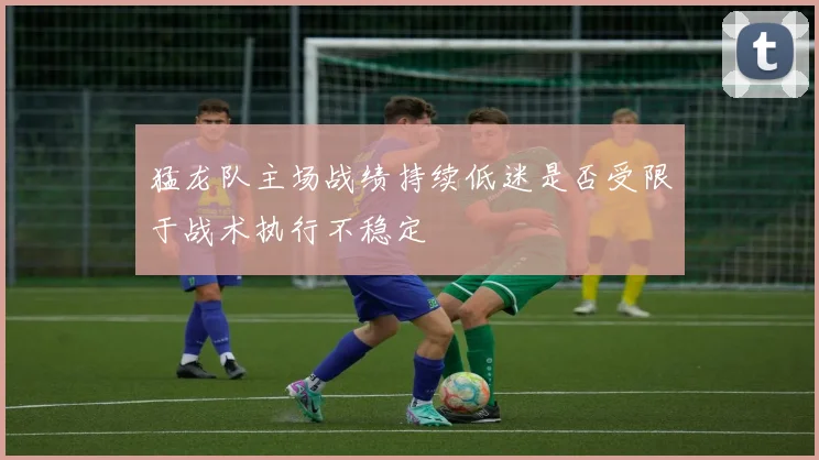 猛龙队主场战绩持续低迷是否受限于战术执行不稳定