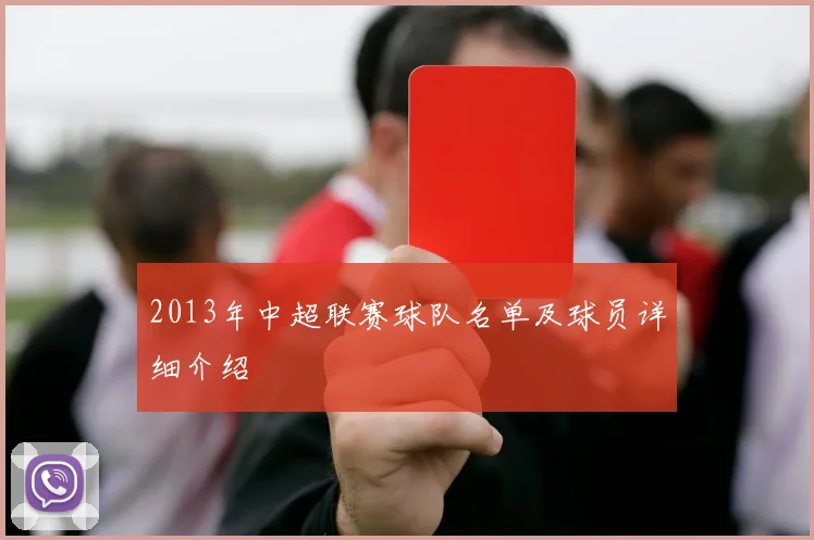 2013年中超联赛球队名单及球员详细介绍