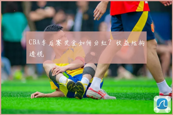 CBA季后赛奖金如何分红？收益结构透视